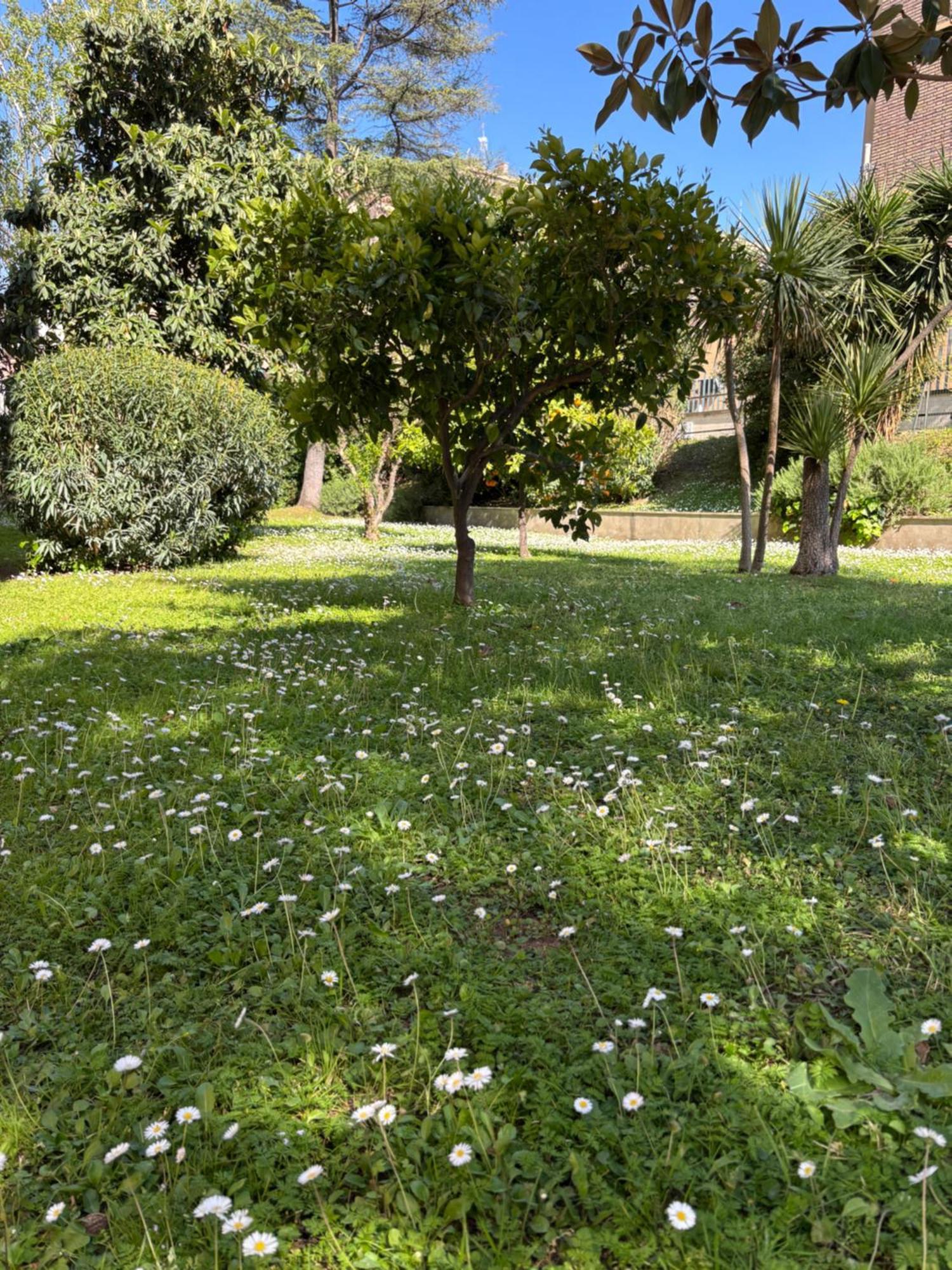 Grelly'S House - Holiday In Rome - 50 Meters From The Metro ภายนอก รูปภาพ
