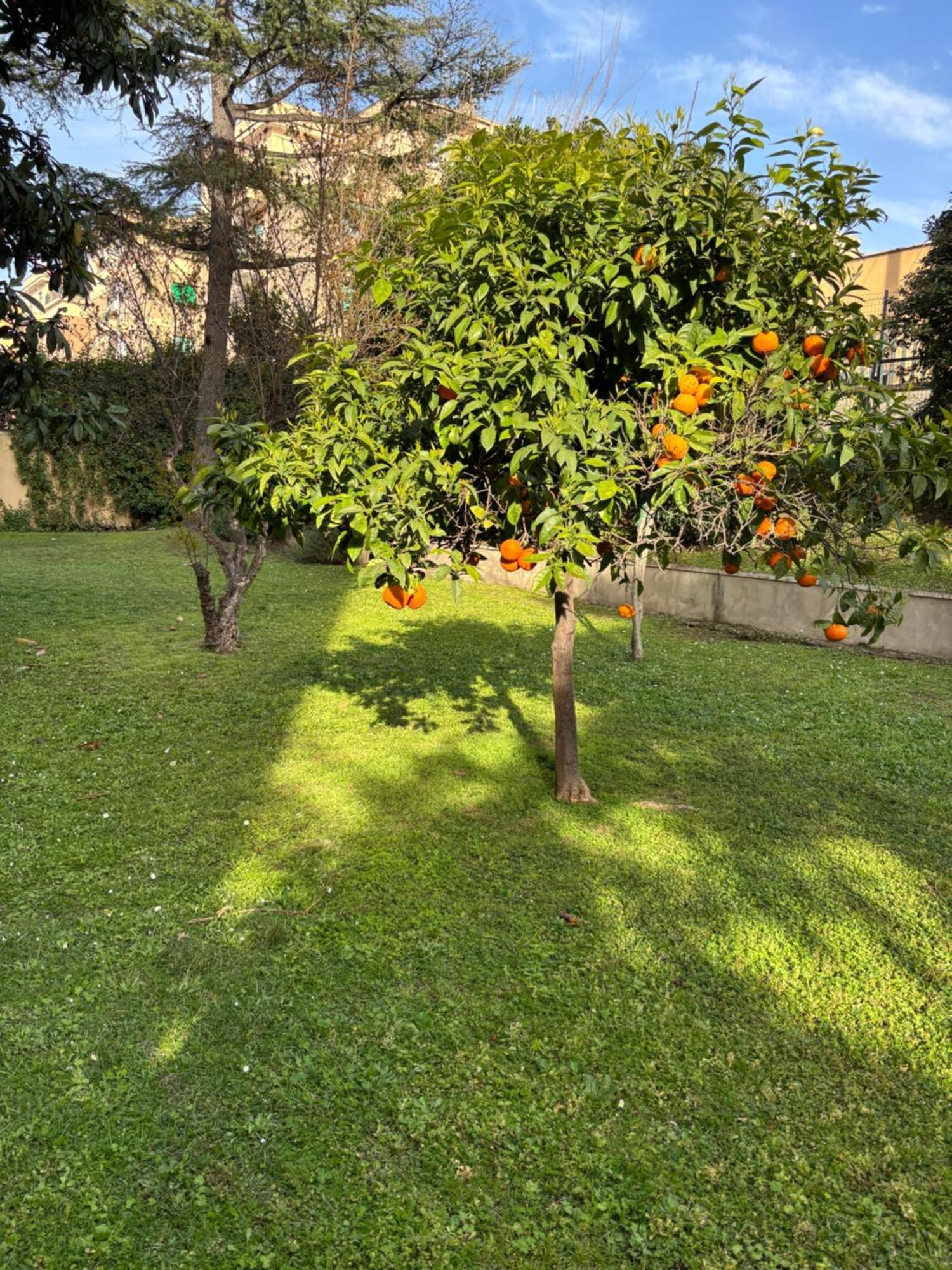 Grelly'S House - Holiday In Rome - 50 Meters From The Metro ภายนอก รูปภาพ